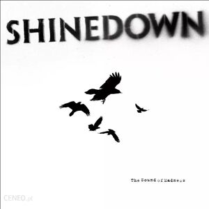 Roadrunner Records The Sound Of Madness, płyta winylowa Roadrunner Records The Sound Of Madness, płyta winylowa
