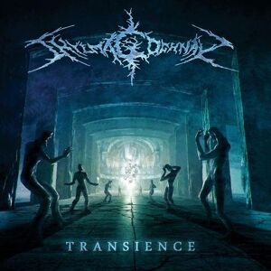 Napalm Records Transience, płyta winylowa Napalm Records Transience, płyta winylowa