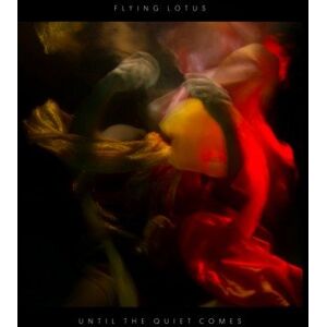 WARP RECORDS Until The Quiet Comes, płyta winylowa WARP RECORDS Until The Quiet Comes, płyta winylowa
