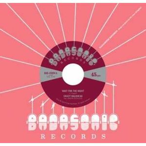 Badasonic Records Wait For The Night Feat. Maddie Ruthless, płyta winylowa Badasonic Records Wait For The Night Feat. Maddie Ruthless, płyta winylowa