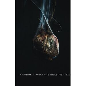 Roadrunner Records What The Dead Men Say, płyta winylowa Roadrunner Records What The Dead Men Say, płyta winylowa
