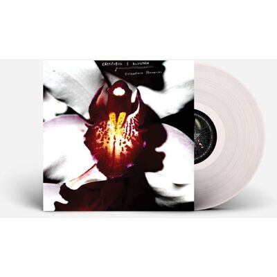 Inny producent Cellophane Memories (Limited Edition) LP (Clear Winyl), płyta winylowa Inny producent Cellophane Memories (Limited Edition) LP (Clear Winyl), płyta winylowa