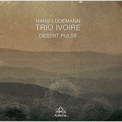 INTUITION Desert Pulse INTUITION Desert Pulse