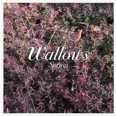 ATLANTIC Wallows: Spring Green & Pink Coloured Vinyl CLR, płyta winylowa ATLANTIC Wallows: Spring Green & Pink Coloured Vinyl CLR, płyta winylowa