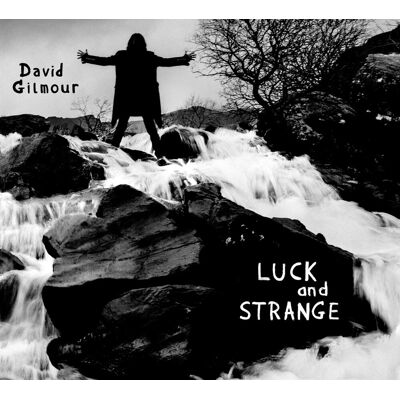 Sony Luck and Strange (srebrny winyl), płyta winylowa Sony Luck and Strange (srebrny winyl), płyta winylowa