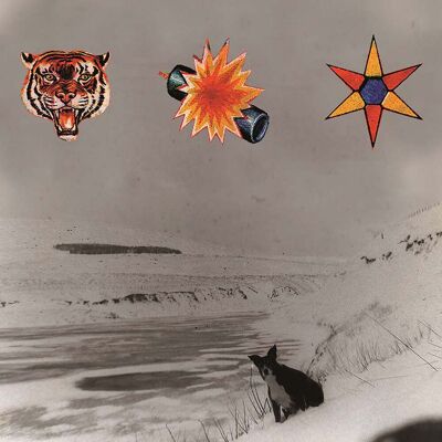 Inny producent The Beta Band The Three 2LP, płyta winylowa Inny producent The Beta Band The Three 2LP, płyta winylowa