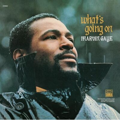 Island Records What's Going On (Deluxe Edition 50th Anniversary), płyta winylowa Island Records What's Going On (Deluxe Edition 50th Anniversary), płyta winylowa