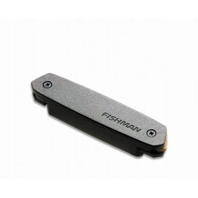 Fishman Neo-D Single Coil Przetwornik Gitary Pasywny D01 Fishman Neo-D Single Coil Przetwornik Gitary Pasywny D01