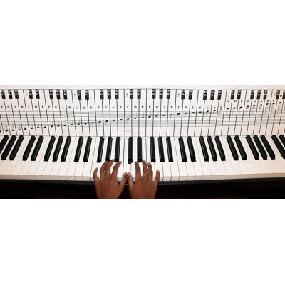 Inny producent Tablica Nut 88 Klawiszy Do Fortepianu Keyboard Instrument Pomoc Nauka Inny producent Tablica Nut 88 Klawiszy Do Fortepianu Keyboard Instrument Pomoc Nauka