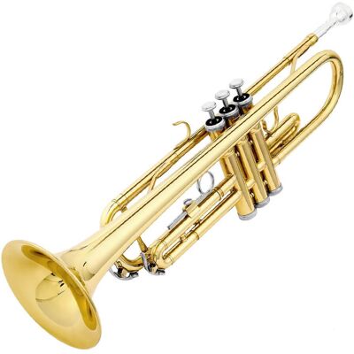 Inny producent Trąbka Klasyczna Instrument Dęty Zestaw z Futerałem i Akcesoriami Inny producent Trąbka Klasyczna Instrument Dęty Zestaw z Futerałem i Akcesoriami