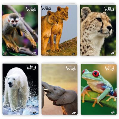 Elisa, zeszyt w linię, A5, Wild, 20 sztuk Elisa, zeszyt w linię, A5, Wild, 20 sztuk