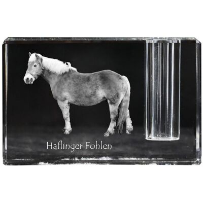Haflinger Fohlen - stojak na długopis, kryształowy organizer ze zdjęciem konia, unikatowa ozdoba biurka marki Art-Dog Haflinger Fohlen - stojak na długopis, kryształowy organizer ze zdjęciem konia, unikatowa ozdoba biurka marki Art-Dog
