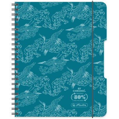 Herlitz, paczka kołobrulion a5 80 k. kratka eco pp colors turkus 4 szt. Herlitz, paczka kołobrulion a5 80 k. kratka eco pp colors turkus 4 szt.