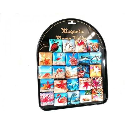 Adar Magnesy morskie (24szt) Adar Magnesy morskie (24szt)
