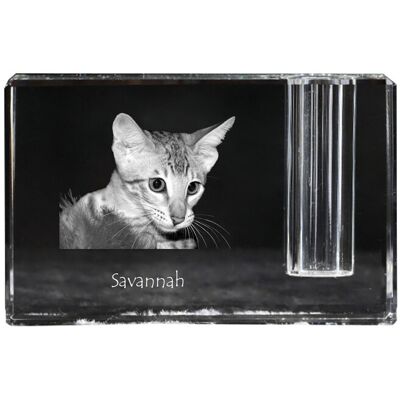 Savannah - stojak na długopis, kryształowy organizer ze zdjęciem kota, unikatowa ozdoba biurka marki Art-Dog Savannah - stojak na długopis, kryształowy organizer ze zdjęciem kota, unikatowa ozdoba biurka marki Art-Dog