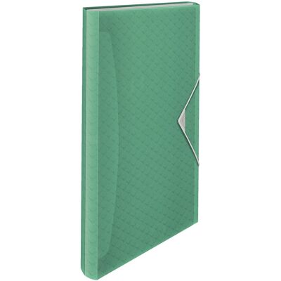 Esselte sp z o.o Teczka z przegródkami Esselte Colour'Ice, 6 przegródek, zielony Esselte sp z o.o Teczka z przegródkami Esselte Colour'Ice, 6 przegródek, zielony