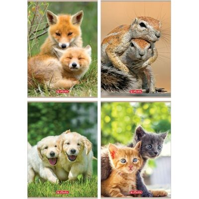 Herlitz Zeszyt A4/32K kratka Animals (10szt) Herlitz Zeszyt A4/32K kratka Animals (10szt)