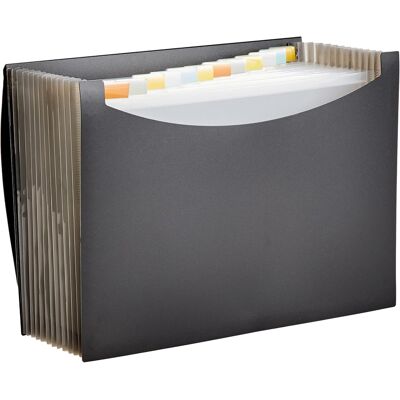 AmazonBasics Rozkładany Organizer Na Dokumenty A4 Czarny Amazon Basics AmazonBasics Rozkładany Organizer Na Dokumenty A4 Czarny Amazon Basics