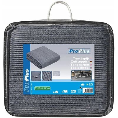 ProPlus Mata namiotowa 2,5x4 m - Odporna na UV, Oddychająca, Metalowe oczka ProPlus Mata namiotowa 2,5x4 m - Odporna na UV, Oddychająca, Metalowe oczka