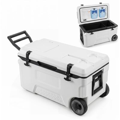 COSTWAY Lodówka Turystyczna Z Kółkami 50 L Lodówka Na Kemping COSTWAY Lodówka Turystyczna Z Kółkami 50 L Lodówka Na Kemping