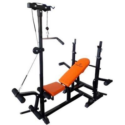 Spartan Sport Ławka Treningowa Spartan Spartan Sport Ławka Treningowa Spartan