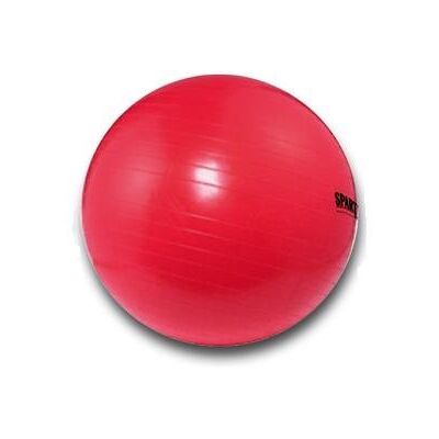 Spartan Sport Piłka gimnastyczna SPARTAN 75 cm Spartan Sport Piłka gimnastyczna SPARTAN 75 cm