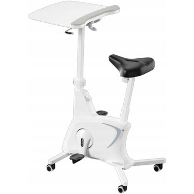 Inny producent ROWER TRENINGOWY FLEXISPOT V9 3W1 BIAŁY BIURKO REGULOWANY OPÓR 100 KG Inny producent ROWER TRENINGOWY FLEXISPOT V9 3W1 BIAŁY BIURKO REGULOWANY OPÓR 100 KG