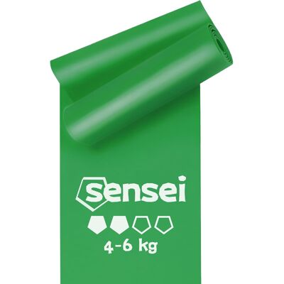 Inny producent Lateks Guma Oporowa 200 Cm Zielona Naturalny Fitness Trening Siłowy Inny producent Lateks Guma Oporowa 200 Cm Zielona Naturalny Fitness Trening Siłowy