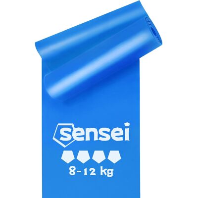 Sensei Taśmy Do Ćwiczeń 200 Cm, Guma Oporowa 8-12 Kg Do Fitness I Pilatesu Sensei Taśmy Do Ćwiczeń 200 Cm, Guma Oporowa 8-12 Kg Do Fitness I Pilatesu