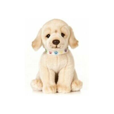 Golden Labrador Golden Labrador