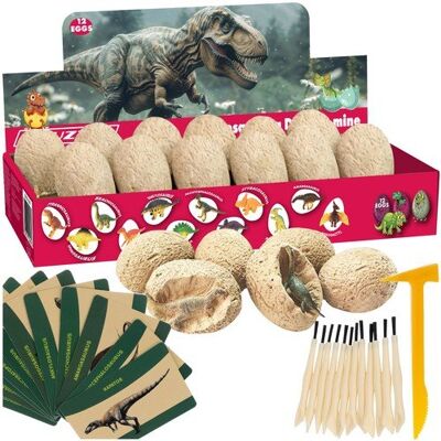Artemis Jajo Dinozaura Jajko Wykluwający Dinozaur Kopalnia Dinozaurów Wykopaliska Artemis Jajo Dinozaura Jajko Wykluwający Dinozaur Kopalnia Dinozaurów Wykopaliska