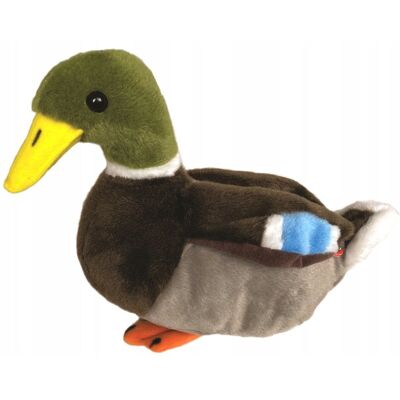 Kaczka krzyżówka pluszak 28 cm Beppe Kaczka krzyżówka pluszak 28 cm Beppe