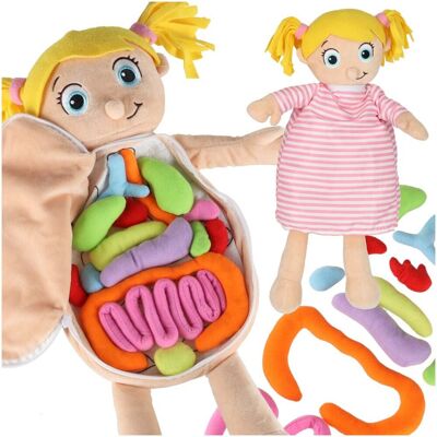 Artemis Lalka Maskotka Pluszowa Anatomia Człowieka Zabawka Edukacyjna dla Dzieci Artemis Lalka Maskotka Pluszowa Anatomia Człowieka Zabawka Edukacyjna dla Dzieci