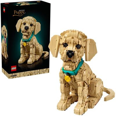 Lego Icons, klocki, Szczeniak golden retriever, 11384 Lego Icons, klocki, Szczeniak golden retriever, 11384