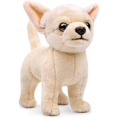 Inny producent lilizzhoumax Wypchany pies chihuahua, pluszowa zabawka, 26 cm, realistyczna symulacja, zwierzę, szczeniak, uroczy, super miękki, dekoracja domu, pre.. Inny producent lilizzhoumax Wypchany pies chihuahua, pluszowa zabawka, 26 cm, realistyczna symulacja, zwierzę, szczeniak, uroczy, super miękki, dekoracja domu, pre..