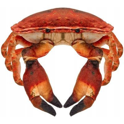 Beppe Maskotka Krab słonowodny - 26cm Beppe Maskotka Krab słonowodny - 26cm