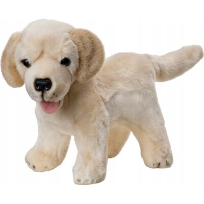 Maskotka Labrador Szczeniaczek Stojący 25 Cm 14082 Beppe Maskotka Labrador Szczeniaczek Stojący 25 Cm 14082 Beppe