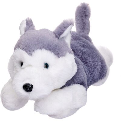 Maskotka Husky BEPPE - 35 cm Leżąca Zabawka Maskotka Husky BEPPE - 35 cm Leżąca Zabawka