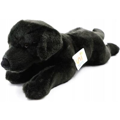 inna (Inny) Maskotka Piesek Labrador Czarny Leżący - 40Cm inna (Inny) Maskotka Piesek Labrador Czarny Leżący - 40Cm
