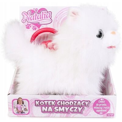 Pozostałe Natalia kot chodzacy na smyczy bialy Pozostałe Natalia kot chodzacy na smyczy bialy