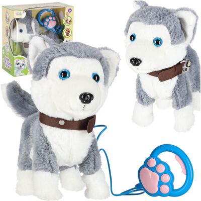 Artemis Piesek Interaktywny na Smyczy Husky Pluszowa Zabawka Maskotka z Dźwiękiem Artemis Piesek Interaktywny na Smyczy Husky Pluszowa Zabawka Maskotka z Dźwiękiem