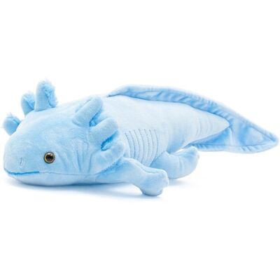Pluszowa zabawka Axolotl Baby Mix 45cm Niebieska - Pluszowe Zwierzątko Pluszowa zabawka Axolotl Baby Mix 45cm Niebieska - Pluszowe Zwierzątko