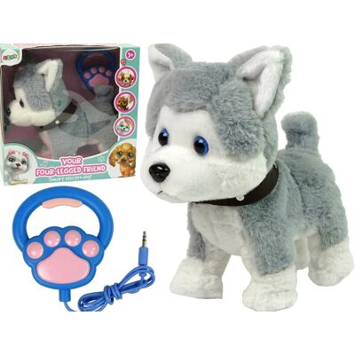 Lean Toys Pluszowy Piesek Husky Interaktywny + Smycz w kształcie łapki Lean Toys Pluszowy Piesek Husky Interaktywny + Smycz w kształcie łapki