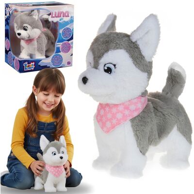 TM TOYS Puppy Luv - INTERAKTYWNY piesek Husky, pluszowy piesek dla dzieci Luna, 4 DŹWIĘKI 2+ TM TOYS Puppy Luv - INTERAKTYWNY piesek Husky, pluszowy piesek dla dzieci Luna, 4 DŹWIĘKI 2+