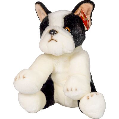 Smily, maskotka Pies Boston Terrier Smily, maskotka Pies Boston Terrier