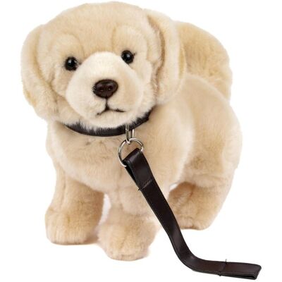 Inny producent Teddys Rothenburg Przytulanka Golden Retriever/Labrador jasna ze smyczą 23 cm blond pluszowy pies pluszak pluszowa zabawka dla dzieci od Uni-Toys Inny producent Teddys Rothenburg Przytulanka Golden Retriever/Labrador jasna ze smyczą 23 cm blond pluszowy pies pluszak pluszowa zabawka dla dzieci od Uni-Toys