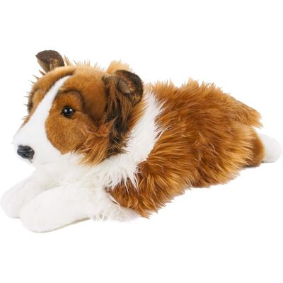 Inny producent Teddys Rothenburg Przytulanka pies Border Collie 40 cm leżący brązowy/biały pluszowy pies pluszowy collie by Uni-Toys Inny producent Teddys Rothenburg Przytulanka pies Border Collie 40 cm leżący brązowy/biały pluszowy pies pluszowy collie by Uni-Toys