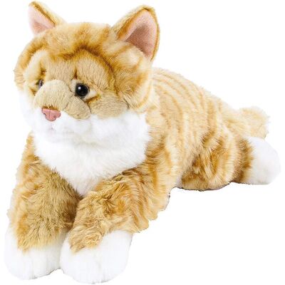 Inny producent Teddys Rothenburg Uni-Toys przytulanka kot leżący czerwony/biały getigert 40 cm pluszowy kot by Inny producent Teddys Rothenburg Uni-Toys przytulanka kot leżący czerwony/biały getigert 40 cm pluszowy kot by
