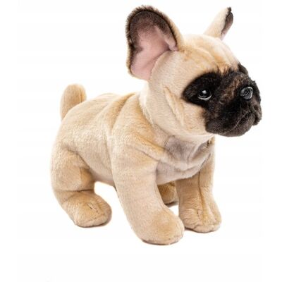 Inny producent UNI-TOYS Buldog Francuski Beżowy 27 cm Pluszowy Piesek Inny producent UNI-TOYS Buldog Francuski Beżowy 27 cm Pluszowy Piesek