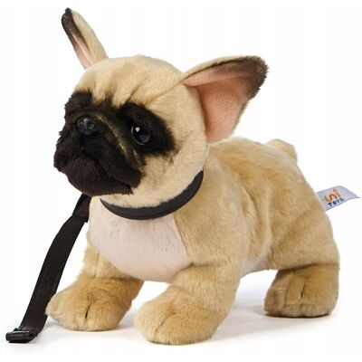 Inny producent UNI-TOYS Buldog Francuski Beżowy Pluszowy 26 cm Z Smyczą Inny producent UNI-TOYS Buldog Francuski Beżowy Pluszowy 26 cm Z Smyczą